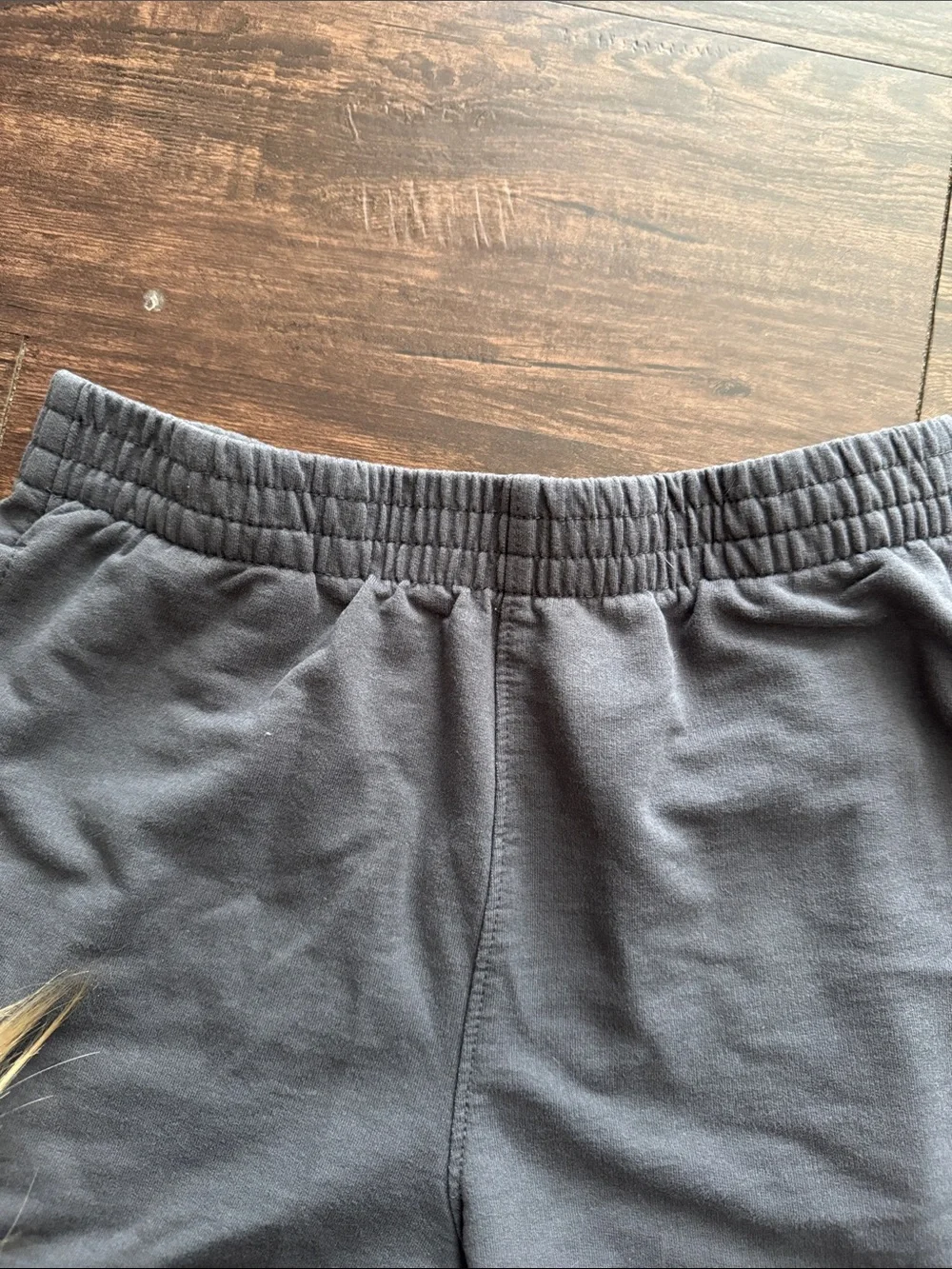 Champion charcoal athletic